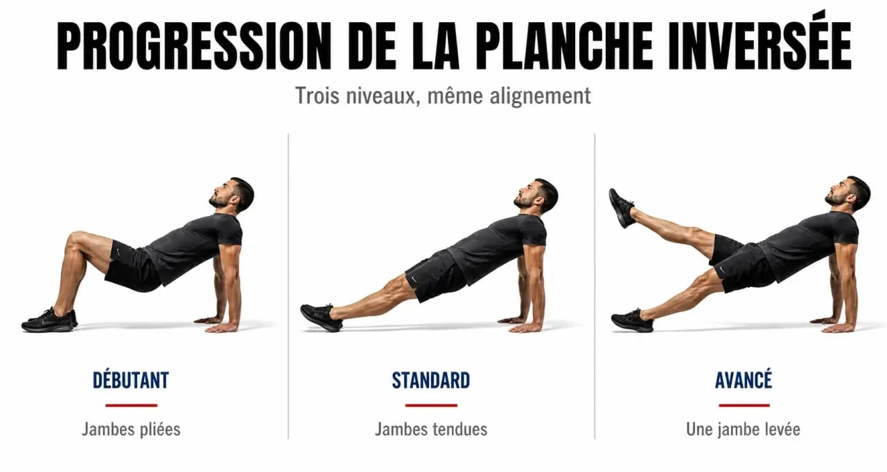 Planche inversée : versions débutant, standard et avancée pour progresser