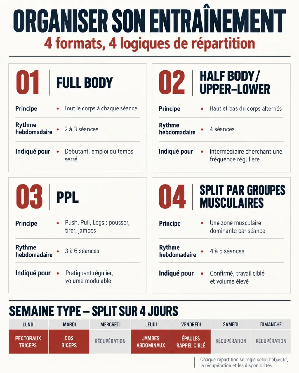Infographie comparative du split musculation, du full body, du half body et du PPL
